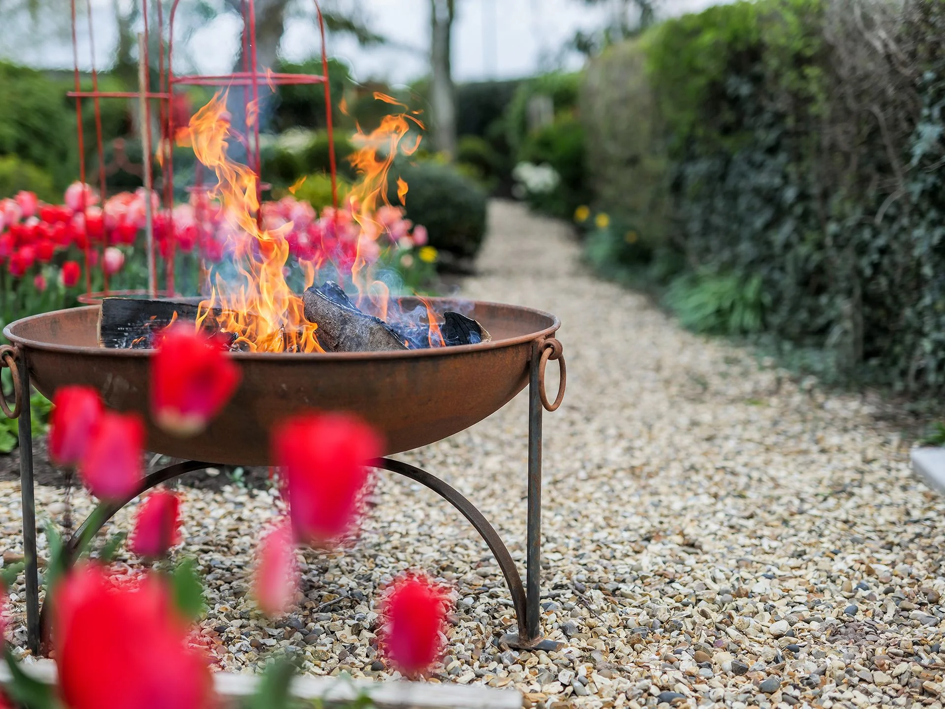 Sheet steel round firepit, weathered in situ in a garden of stone flooring and red flowers.. The firepit it lit with a fire in full effect in the background of red flowers.